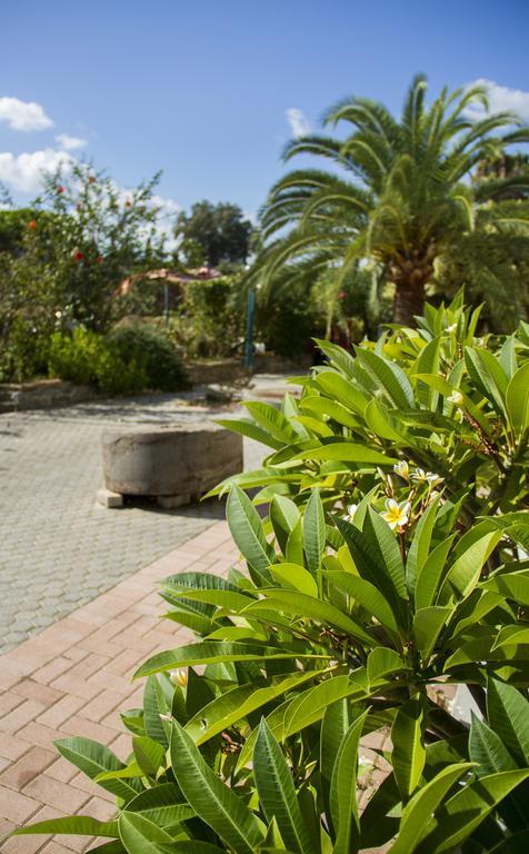 Lycasti Maisonettes Tavronitis  Ngoại thất bức ảnh